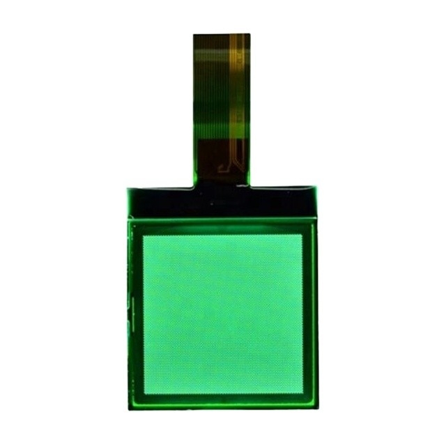 IL LCD del DENTE a 2,5 pollici a 2,2 pollici a 1,8 pollici a 1,5 pollici a 1,2 pollici visualizza 12864 Dots Matrix