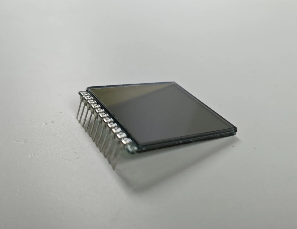 Display LCD a trasmissione personalizzato a 6 O orologio
