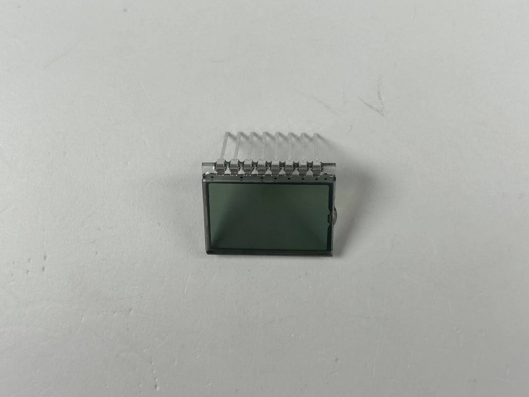 3.0 V Display LCD TN Prositivo Segmento di Codice Display Collare di addestramento per cani personalizzabile