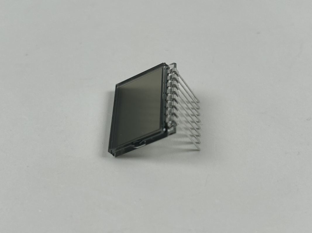 3.0 V Display LCD TN Prositivo Segmento di Codice Display Collare di addestramento per cani personalizzabile