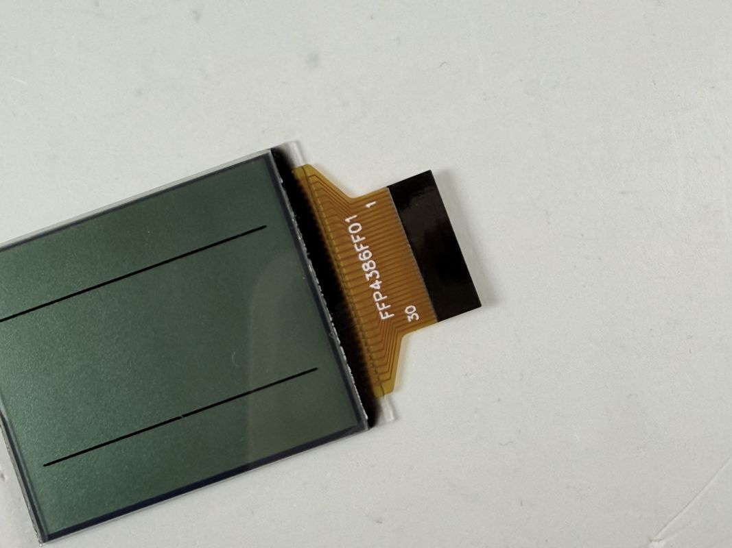 Display LCD in bianco e nero FSTN personalizzato | Monocromo segmento LCD per applicazioni industriali ed elettroniche