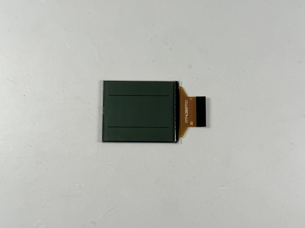 Display LCD in bianco e nero FSTN personalizzato | Monocromo segmento LCD per applicazioni industriali ed elettroniche