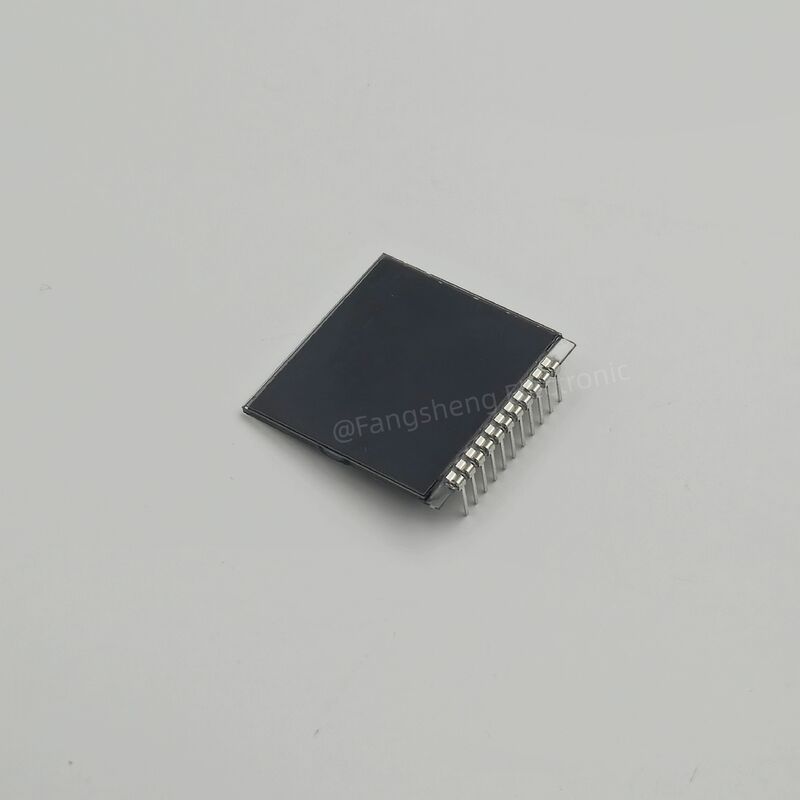 Display a cristallo liquido per apparecchiature di addestramento per cani VA Segmento negativo