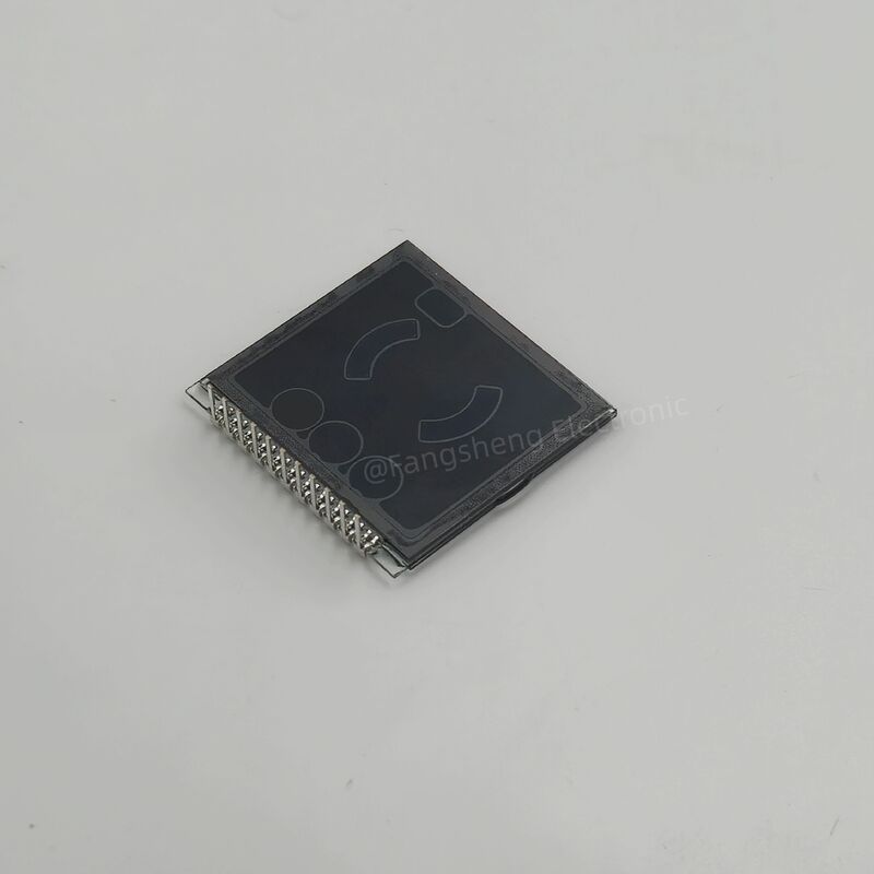 Display a cristallo liquido per apparecchiature di addestramento per cani VA Segmento negativo