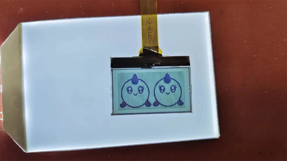 Display LCD ad alta qualità a cifre positive FSTN Display trasmissivo personalizzato TN Lcd Modulo per strumentazione