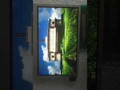 TFT da 4,3 pollici 800*480